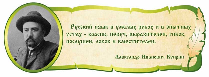 _выск.jpg